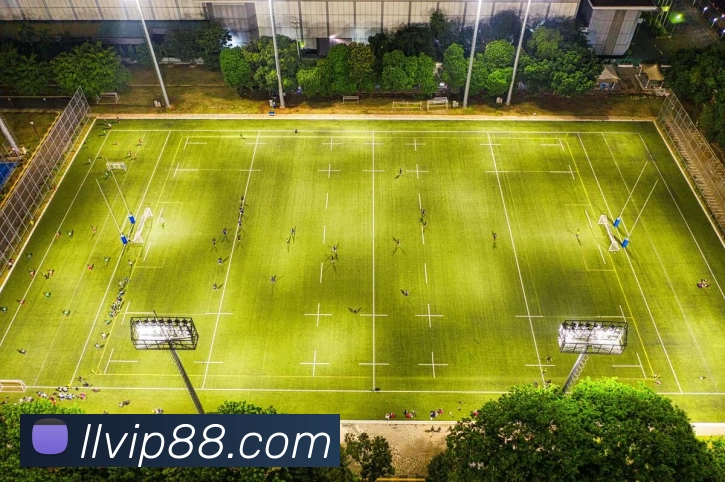 琳琅娱乐官网平台生态图