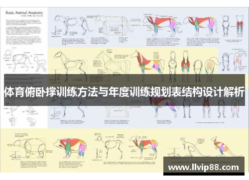 体育俯卧撑训练方法与年度训练规划表结构设计解析