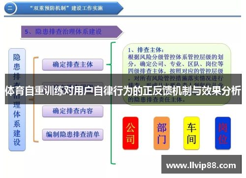 体育自重训练对用户自律行为的正反馈机制与效果分析